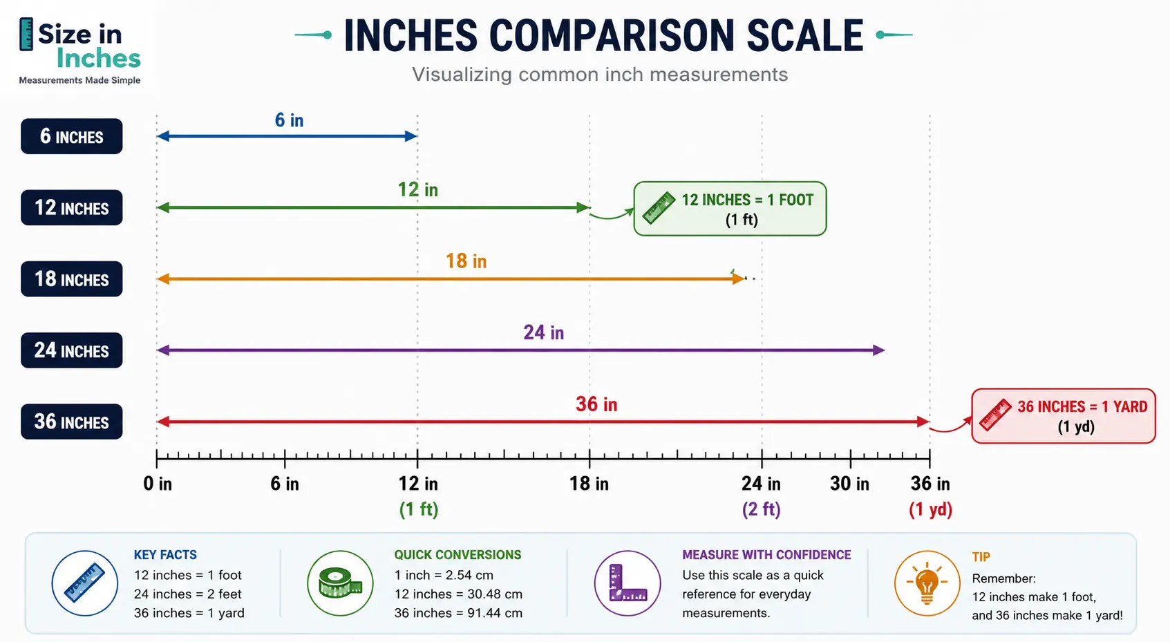 12 Inches Compared With 6, 18, 24 And 36 Inches 12 Inches Compared With 6, 18, 24 And 36 Inches