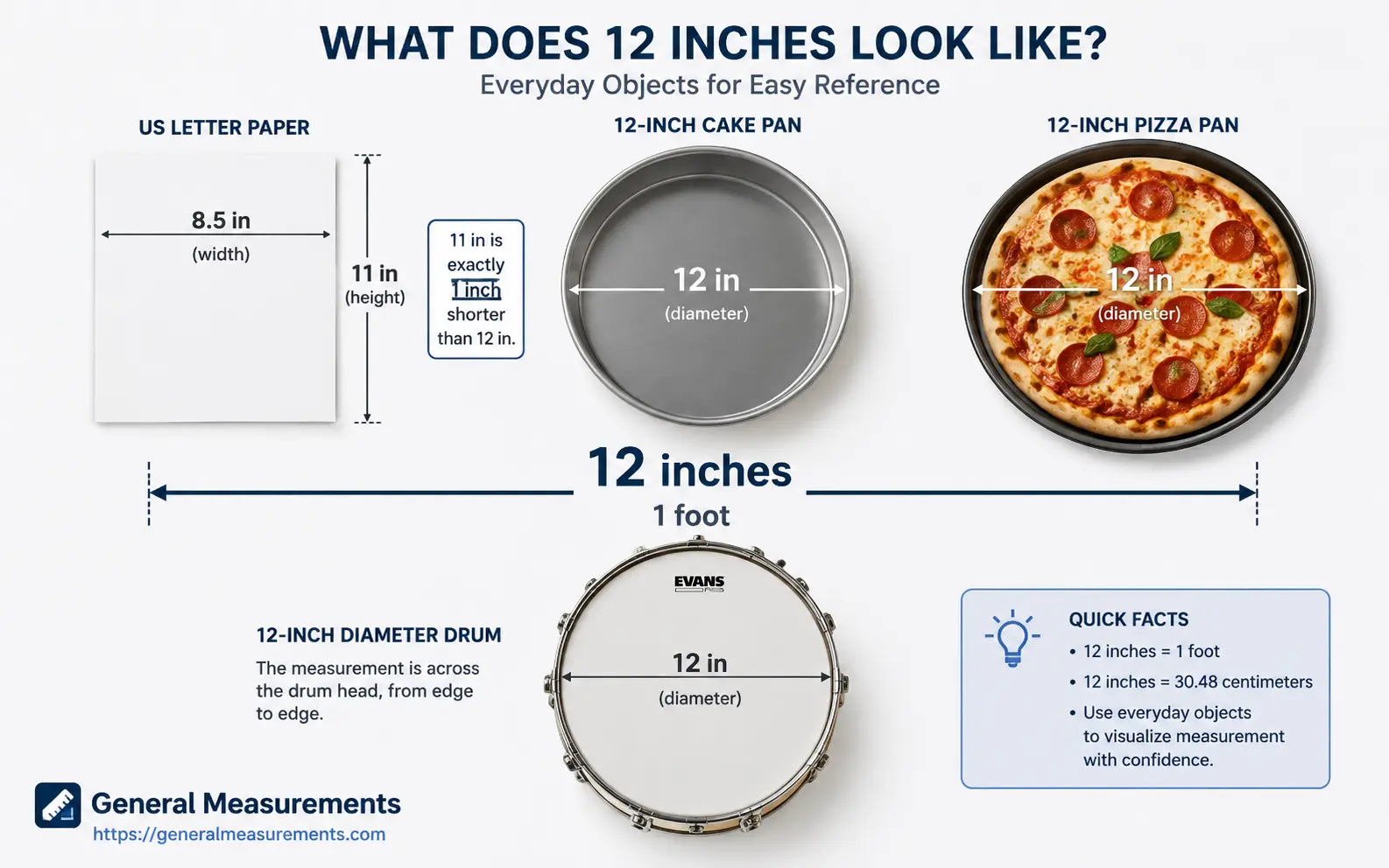 12-inch measurement shown alongside everyday objects for real-world size comparison