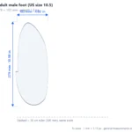 Adult male foot (US size 10.5) scale dimensions diagram