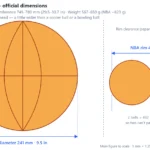 Basketball (size 7) scale dimensions diagram