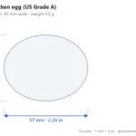 Large chicken egg (US Grade A) scale dimensions diagram