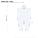 Newborn baby (average) scale dimensions diagram