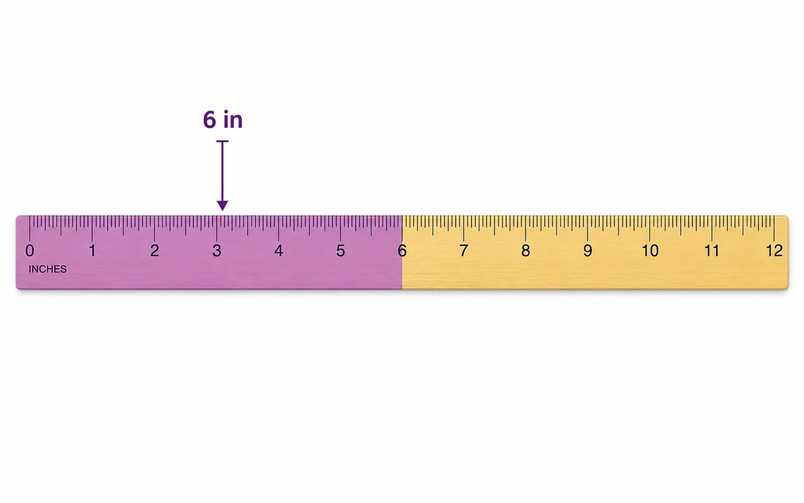 Ruler diagram showing 6 inches at the exact halfway point of a 12-inch ruler Ruler diagram showing 6 inches at the exact halfway point of a 12-inch ruler
